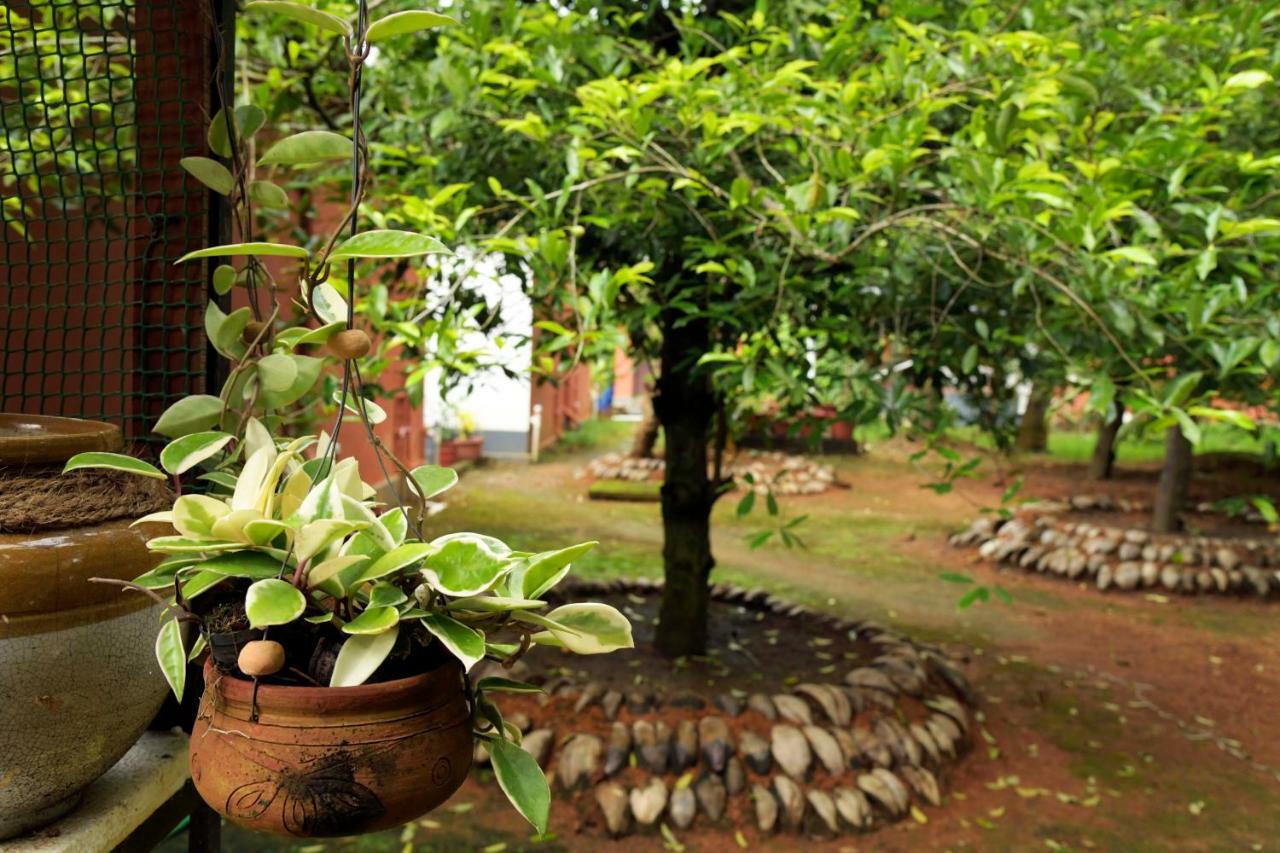 Stayvista At La Riva Heritage Villa With Bicycle Alappuzha Ngoại thất bức ảnh